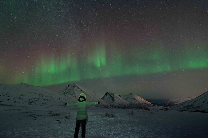 Tromsø Northern Lights with Campfire and Professional Photos - Professional photos, with realistic expectations