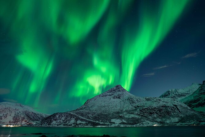 Tromsø Northern Lights with Campfire and Professional Photos - How good is the $310.85 price?