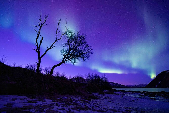 Tromsø Northern Lights with Campfire and Professional Photos - The hard truth about Northern Lights success
