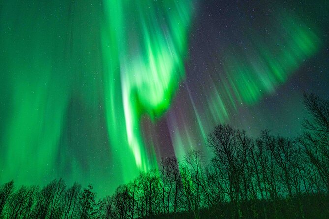 Tromsø Northern Lights with Campfire and Professional Photos - Group size, comfort, and practical fit