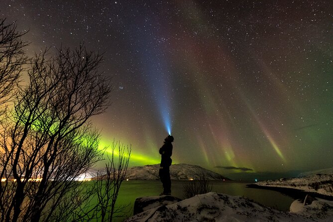 Tromsø Norway - Small Group Aurora Hunt Tour with a local guide - Key points to know before booking