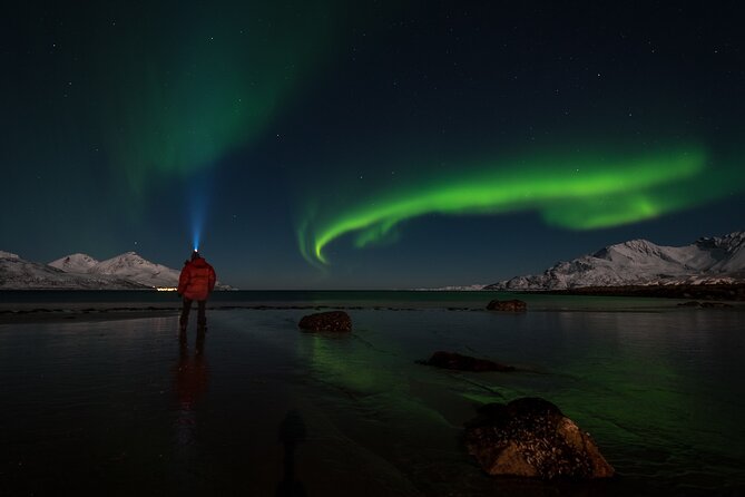 Tromsø Norway - Small Group Aurora Hunt Tour with a local guide - Why a small group helps under Arctic skies