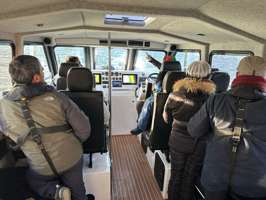 Tromsø: Orca and Whale Watching comfort heated boat Trip - Why the heated boat changes the whale-watching day