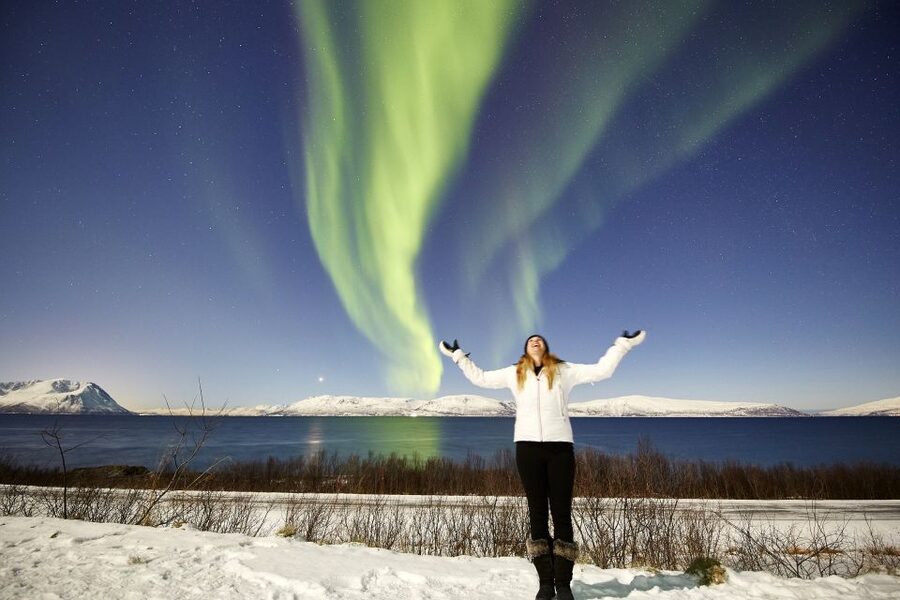 Tromsø: Private 6-Hour Aurora Chase by Minivan - Why the private format matters in Tromsø