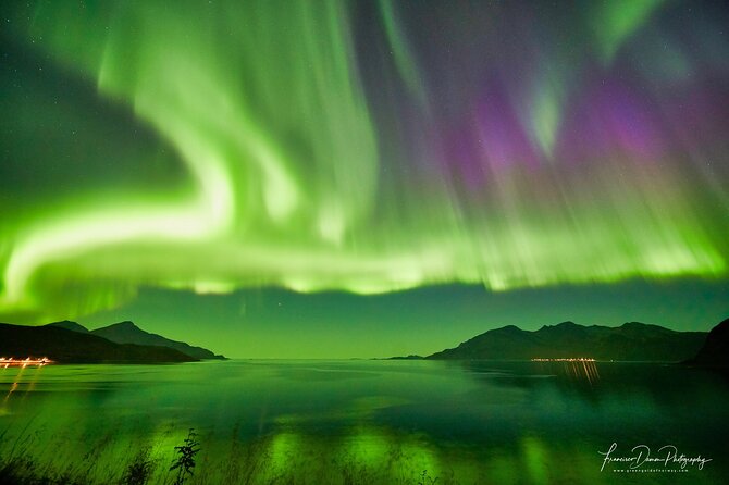 Tromso: Private Aurora Chase by Minivan - The guide can make or break the evening