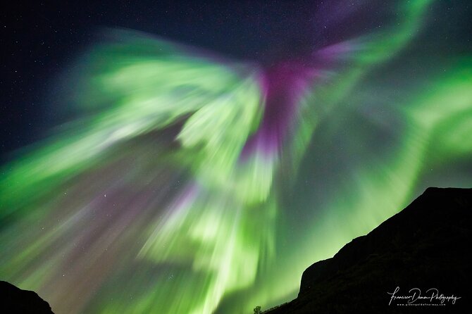 Tromso: Private Aurora Chase by Minivan - From Tromso toward the fjords and clear sky