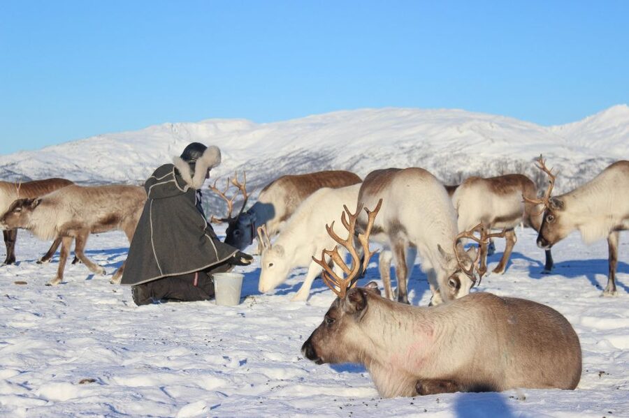 Tromsø: Reindeer Camp and Sami Cultural Tour with Lunch - The 40-minute ride from Tromsø to the camp
