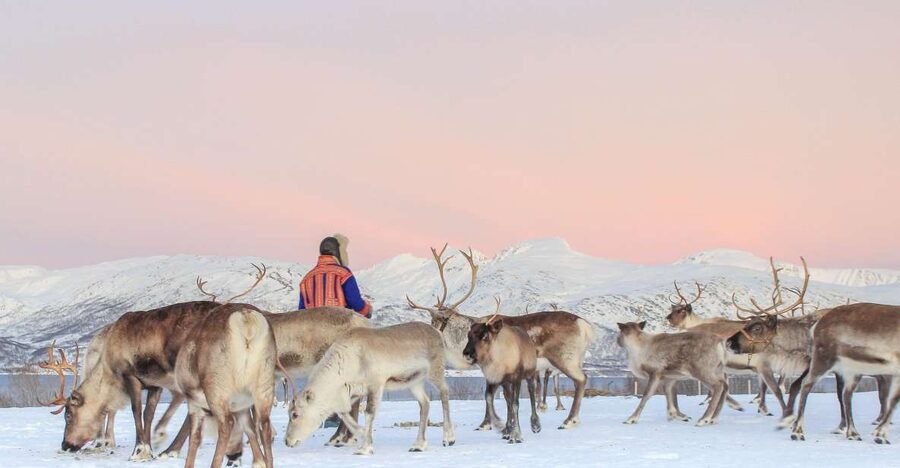 Tromsø: Reindeer Camp and Sami Cultural Tour with Lunch - Warming up in the lavvu