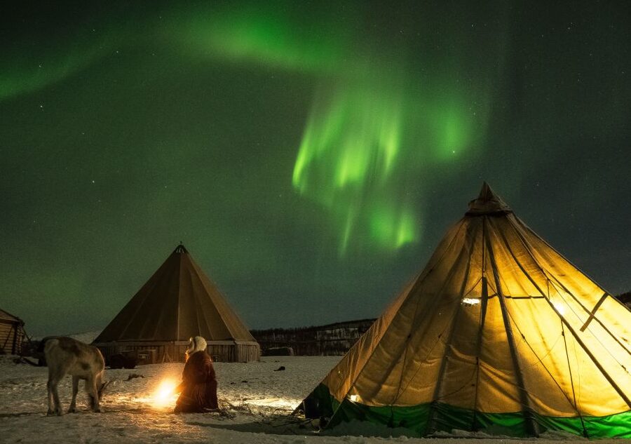 Tromsø: Reindeer Camp Dinner with Chance of Northern Lights - Key points to know before booking