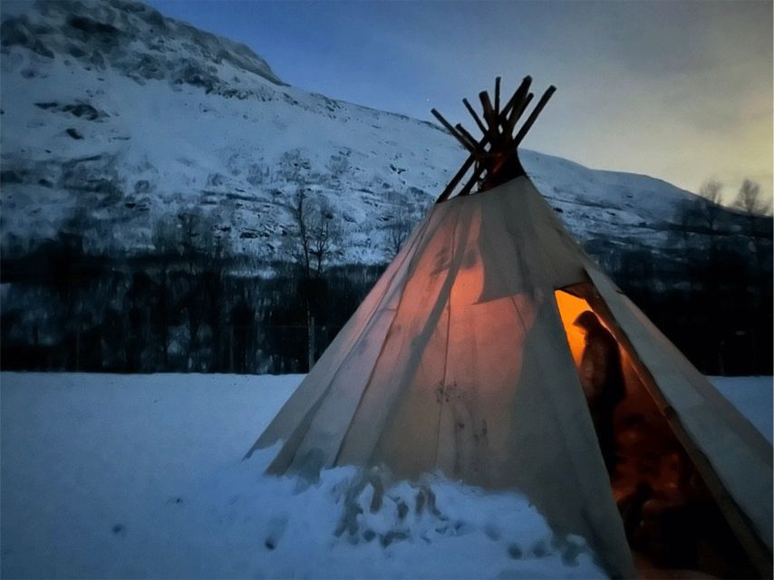 Tromsø: Reindeer Experience at a Sami Camp - Meeting a Sami family with reindeer herding roots