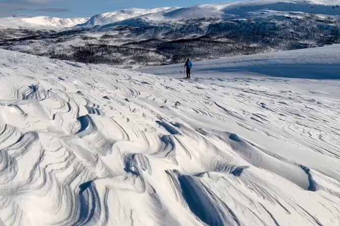 Tromso: Reindeer Feeding and Snowshoeing Tour with Lunch - Reindeer, Snowshoes, and a Warm Gamme
