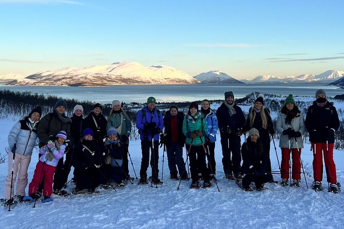 Tromso: Reindeer Feeding and Snowshoeing Tour with Lunch - Feeding the Reindeer Before the Walk