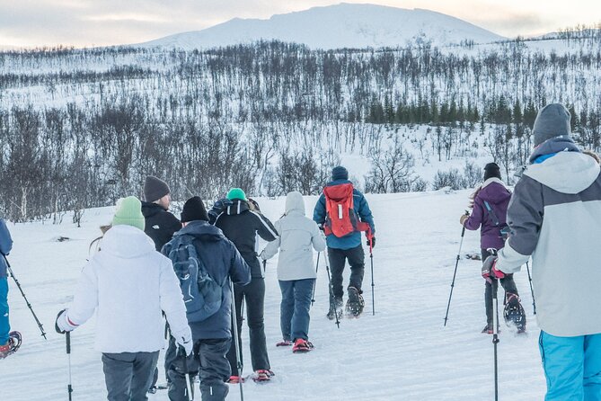 Tromso: Reindeer Feeding and Snowshoeing Tour with Lunch - Bidus Stew Inside a Traditional Gamme