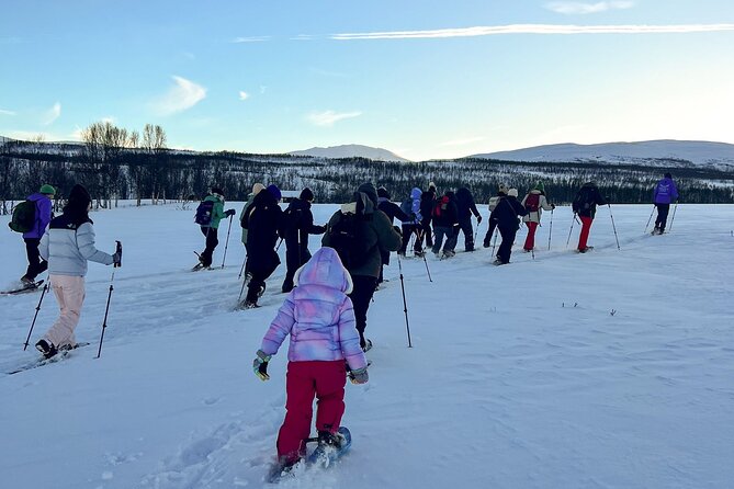 Tromso: Reindeer Feeding and Snowshoeing Tour with Lunch - A Beginner-Friendly 1 to 1.5-Hour Snowshoe Route