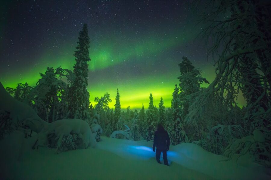 Tromsø: Reindeer Sled, Dinner, and Chance of Northern Lights - Dinner gives the evening a proper center