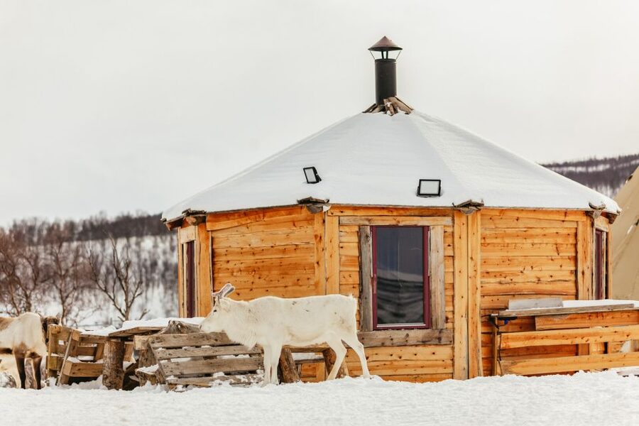 Tromsø: Reindeer Sledding & Feeding with a Sami Guide - Small extras at the camp