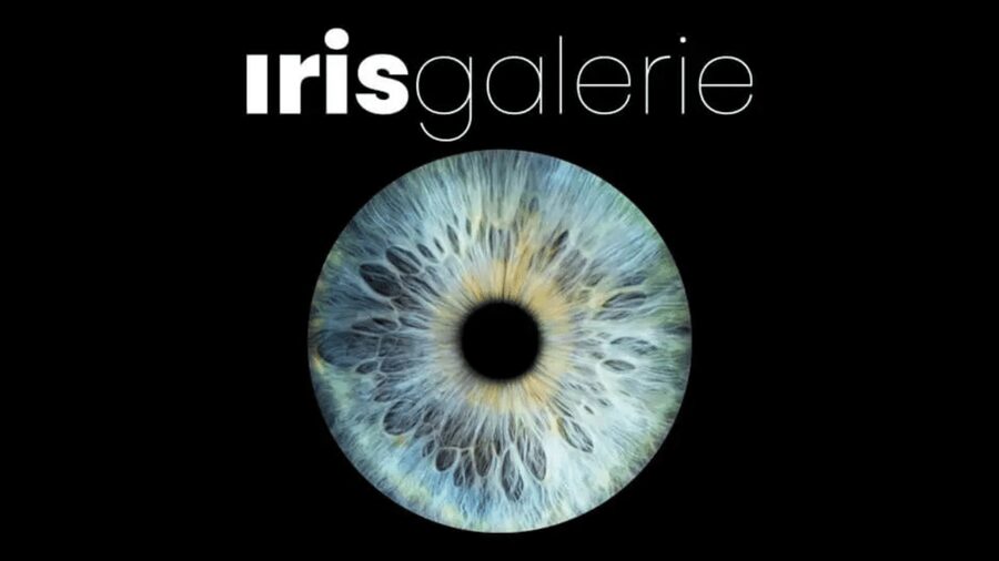 Tromsø: Reveal Your Eye Experience at the Iris Galerie - What your booking includes, and what it does not