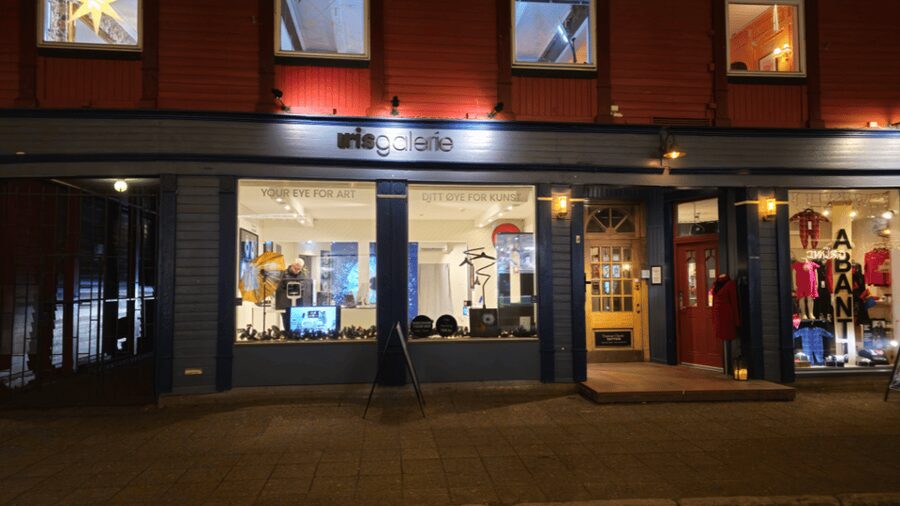 Tromsø: Reveal Your Eye Experience at the Iris Galerie - The real value of the short visit