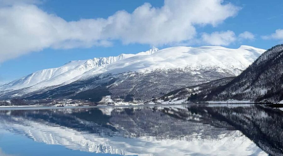 Tromsø’s Top-Rated Fjord & Fishing Cruise – All-Inclusive - Ramfjorden turns sightseeing into fishing
