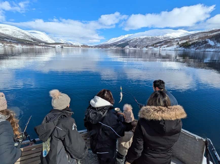 Tromsø’s Top-Rated Fjord & Fishing Cruise – All-Inclusive - Ryøya and the first wildlife watch