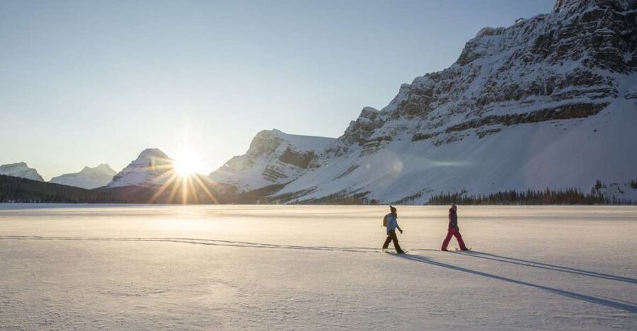 Tromso: Scenic & Eco-Friendly Snowshoeing Tour - Who should book this Kvaløya outing?