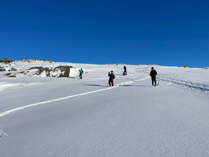 Tromso: Scenic & Eco-Friendly Snowshoeing Tour - Why the small group matters