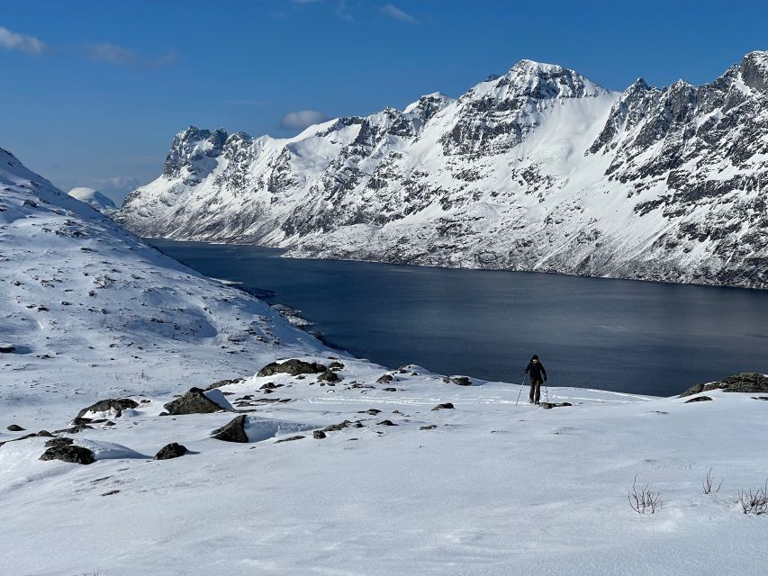 Tromso: Scenic & Eco-Friendly Snowshoeing Tour - The eco-friendly promise in practical terms