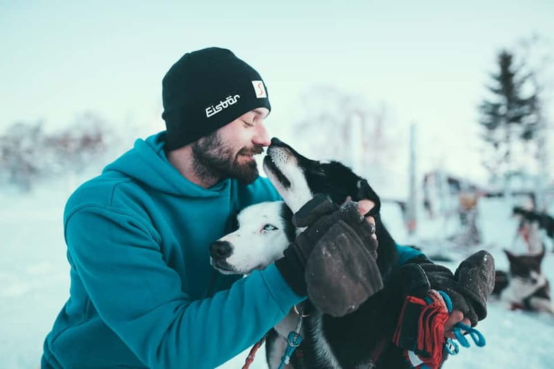 Tromsø: Self-Drive Husky Dog Sledding Adventure - Key points to know before you book