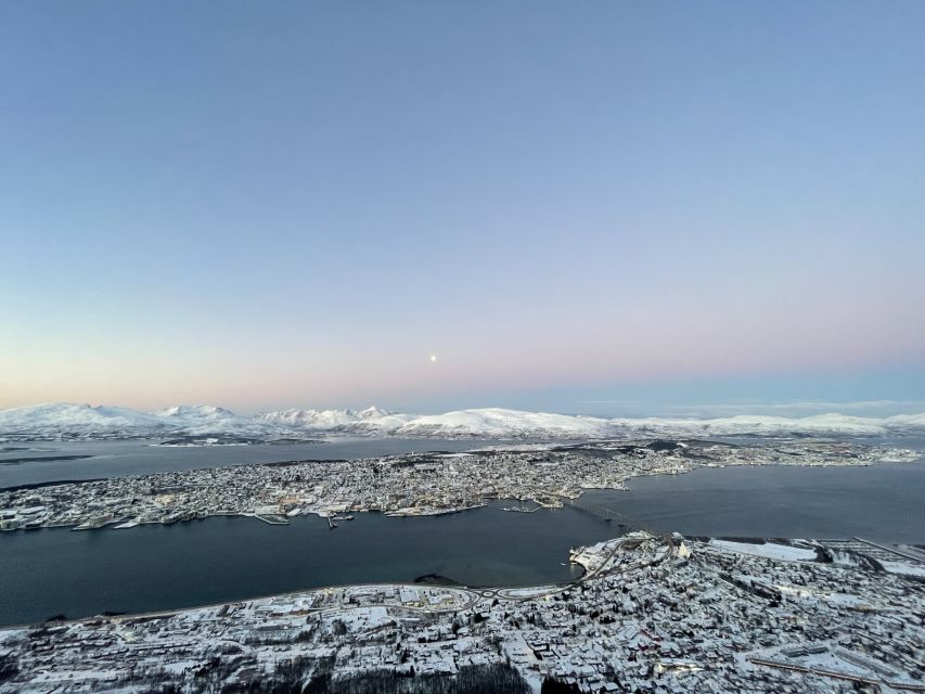 Tromso: Sightseeing Cruise by Catamaran with Snacks & Drinks - Wildlife sightings depend on the season