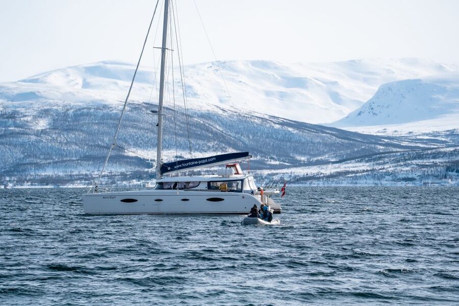 Tromso: Sightseeing Cruise by Catamaran with Snacks & Drinks - Booking details and what to bring