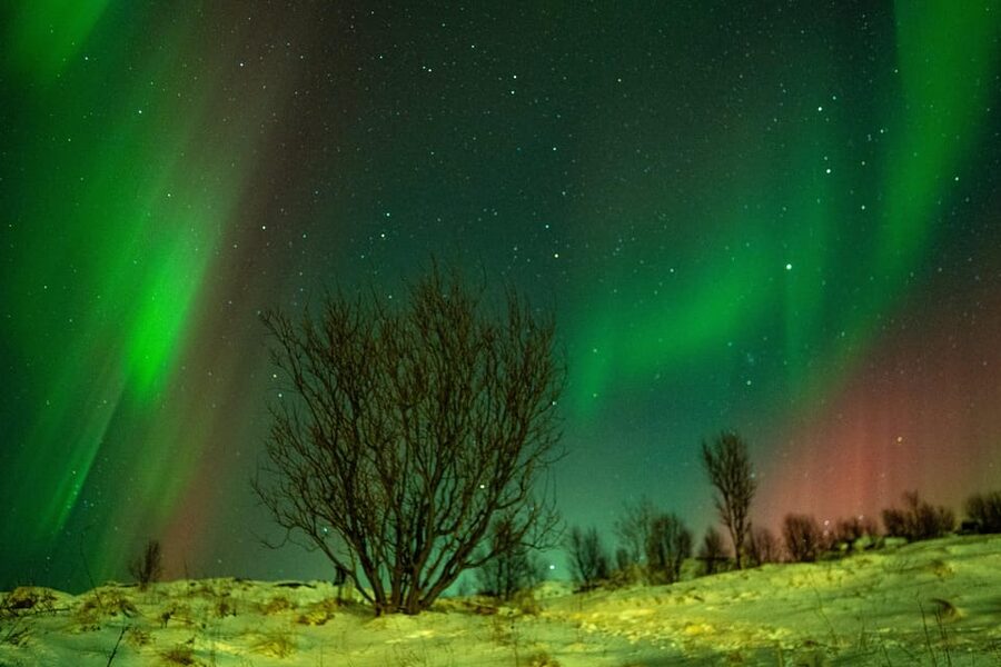 Tromsø: Small-Group Adventurous Northern Lights Hunt - A Northern Lights chase with room to adapt