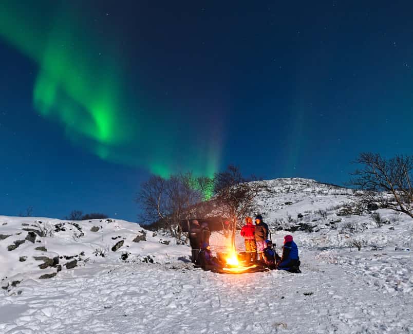 Tromsø: Small Group Northern Lights Hunt - Key points at a glance