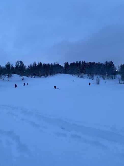 Tromsø: Snow Sledding, Mini Skiing, Lasso and Reindeer Hides - My booking advice