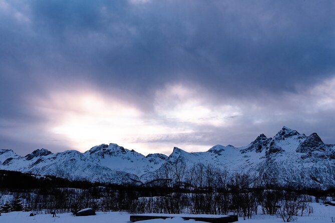 Tromso-Snowshoeing Excursion to Viewpoint - The return walk and drive back to Tromsø