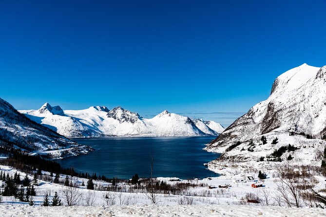 Tromso-Snowshoeing Excursion to Viewpoint - The 30-minute drive to the viewpoint