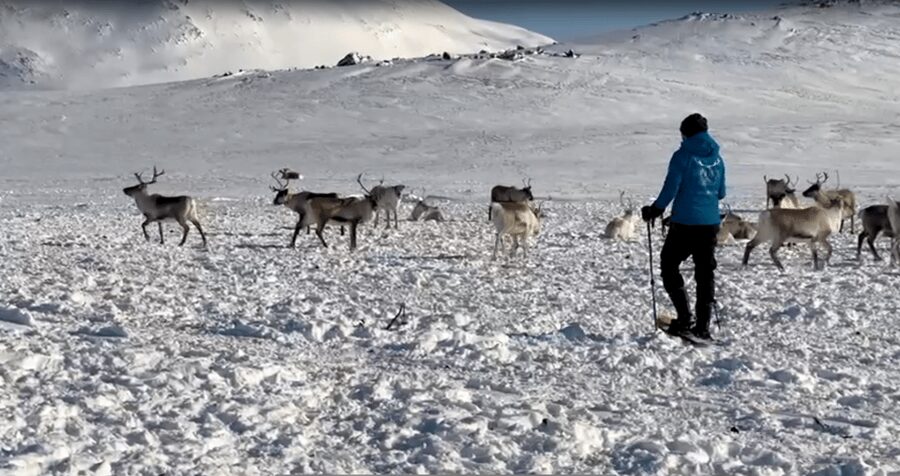 Tromsø: Snowshoeing Tour & Reindeer Encounter with Lunch - Warming up with bidos in the Sami hut