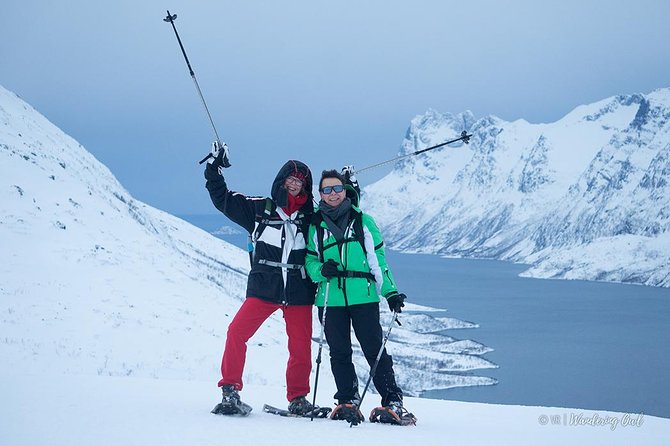 Tromso Snowshoeing - Valley, Fjord Views, Wildlife, Meal & Pickup - Wildlife Along the Trail