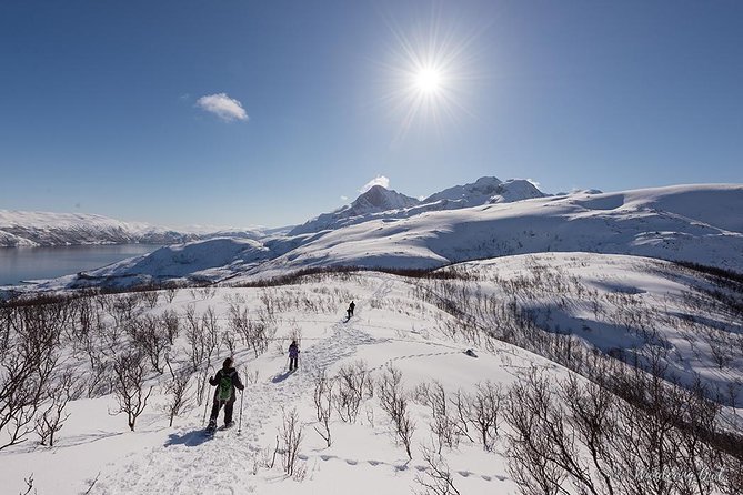 Tromso Snowshoeing - Valley, Fjord Views, Wildlife, Meal & Pickup - How Much Value Do You Get for $129.17?