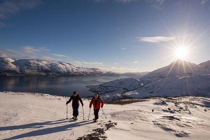 Tromso Snowshoeing - Valley, Fjord Views, Wildlife, Meal & Pickup - What to Wear for Four Hours Outside