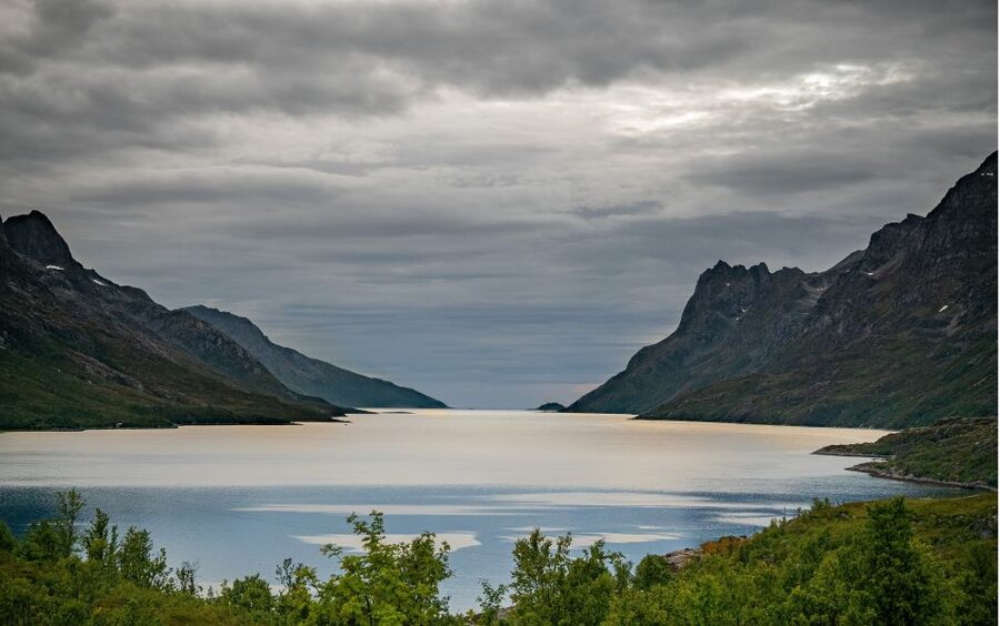 Tromsø: Sommaroy Fjord Tour with Lunch Option & Midnight Sun - The meal choice and what it really costs