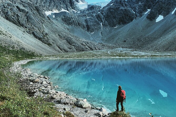 Tromsø & Sommarøy - Private coastal tour with a local - Why the private format has real value