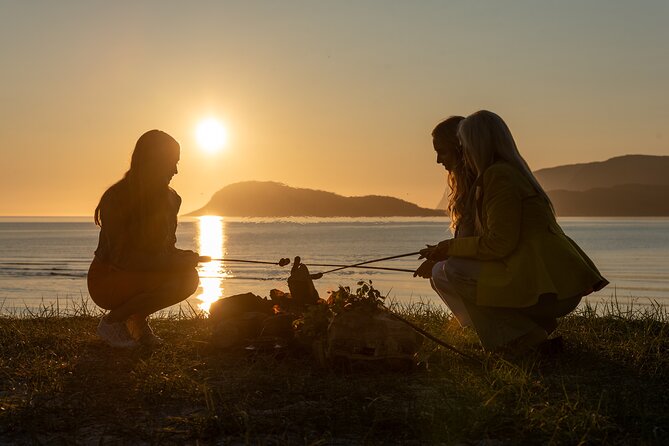 Tromsø & Sommarøy - Private coastal tour with a local - Who will get the most from this outing