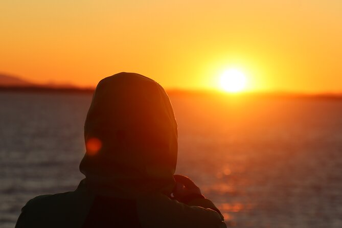 Tromsø & Sommarøy - Private coastal tour with a local - Pickup, timing, and what to bring