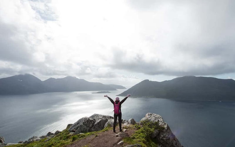 Tromsø: Summer Day Hike in the wilderness - Lunch with a view