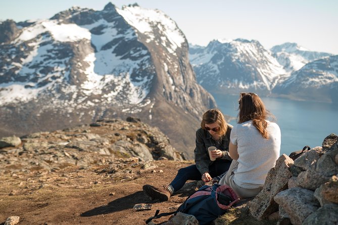 Tromsø: Summer Day Hike with Wandering Owl - Key points to know before booking