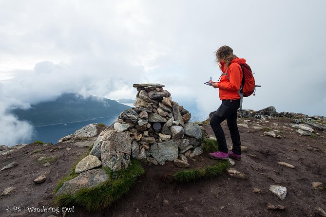 Tromsø: Summer Day Hike with Wandering Owl - Plants, wildlife, and small Arctic details