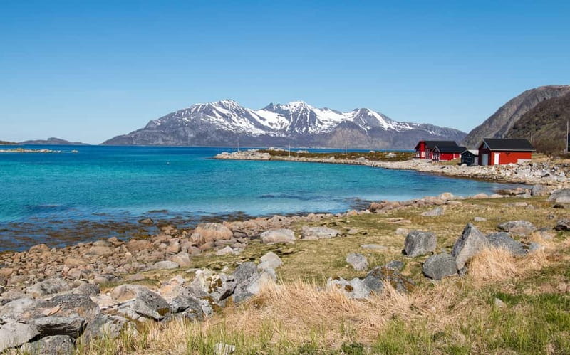 Tromsø: Summer Fjord Road Trip with Citizen Science - Citizen science beside the water