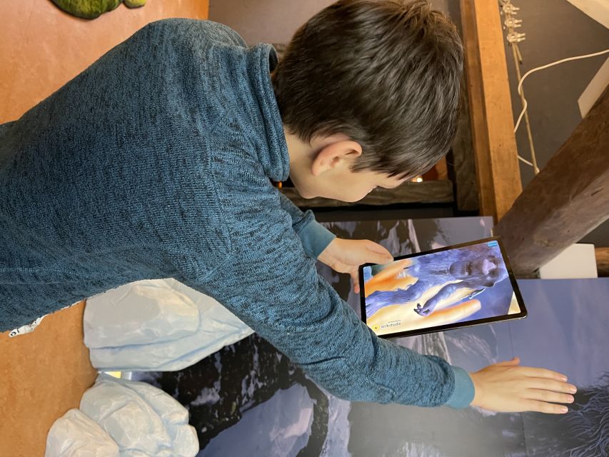 Tromsø: Troll Museum Entry Ticket with AR Media Experience - Is the $21 Ticket Good Value?