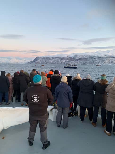 Tromsø Whale Safari with MS Keiser Wilhelm - Key points at a glance