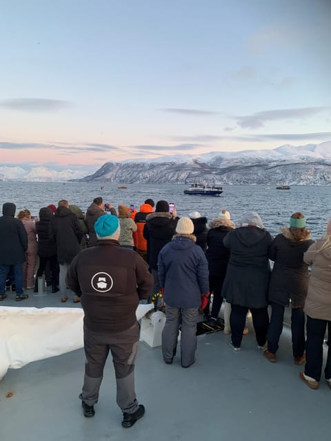Tromsø Whale Safari with MS Keiser Wilhelm - The value of six to eight hours at $194